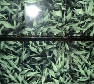 réalisation Clins imprimés-17-6